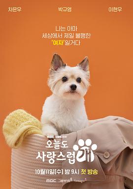 오늘도 사랑스럽개